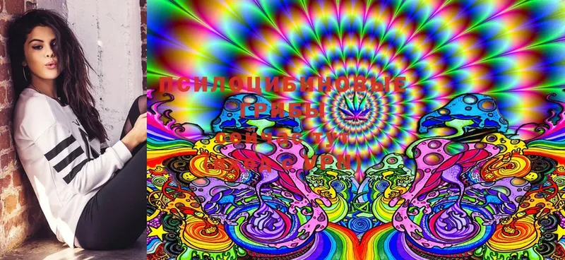 Псилоцибиновые грибы MAGIC MUSHROOMS Торжок